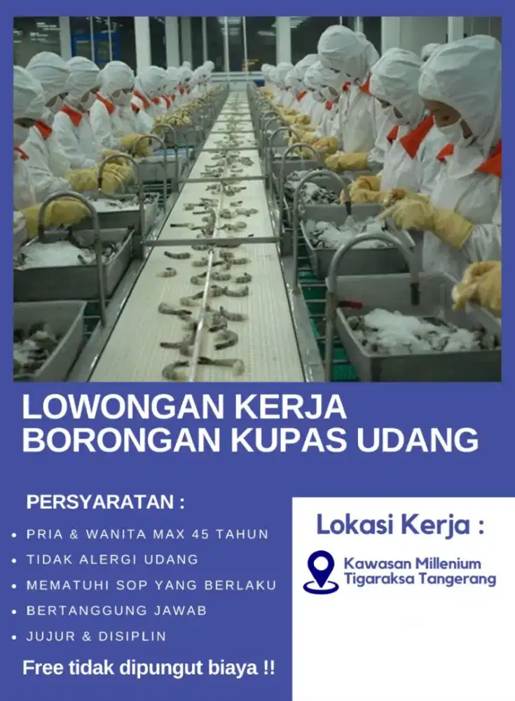 Dibutuhkan sampai 15feb