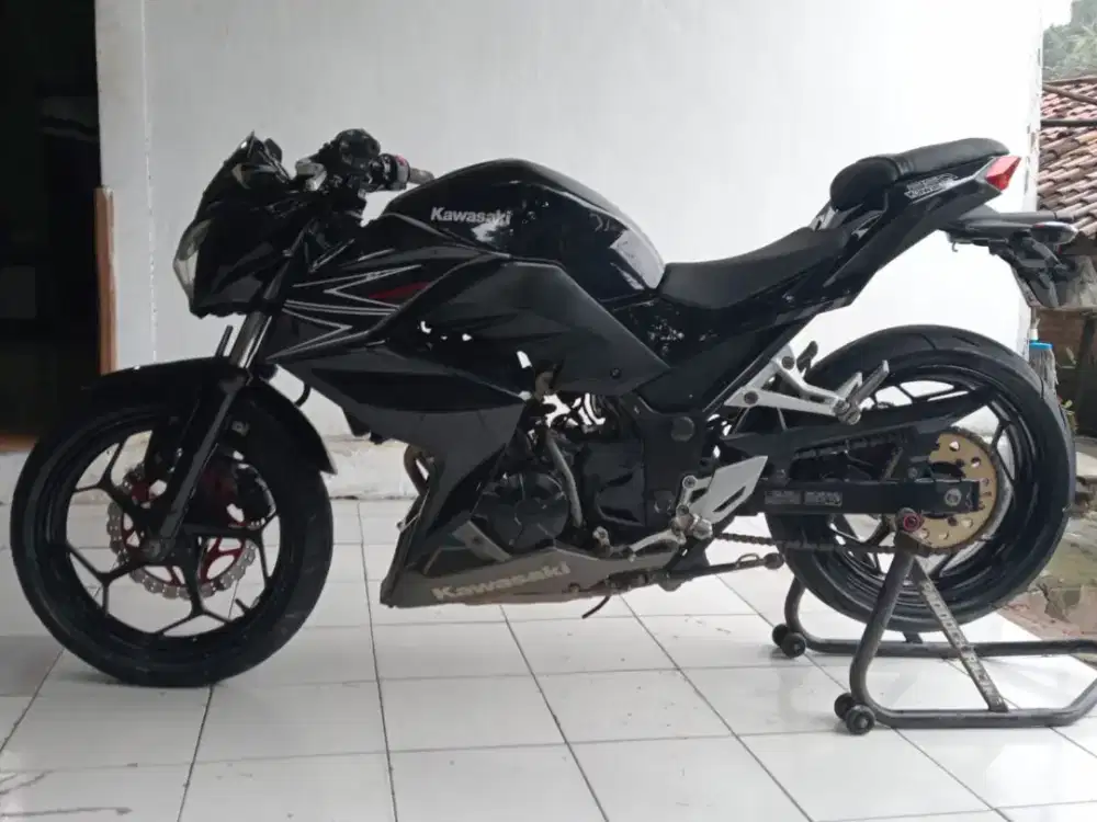 Ninja Z 250 dua silinder