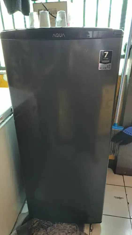 FREEZER AQUA 150 L