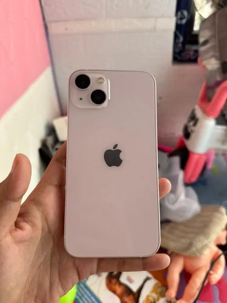 13 256 GB mulus inter all op