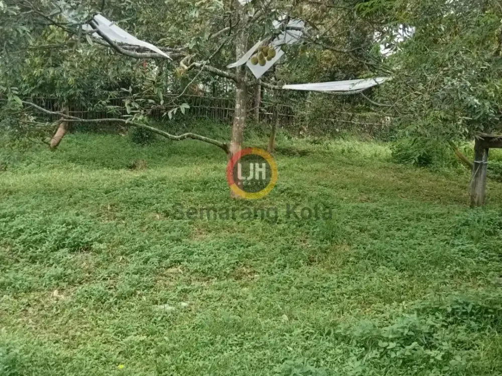 Kavling di Desa Sumber, Sukorejo