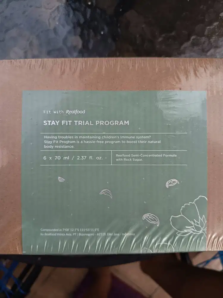 Sarang Burung Walet (Realfood original)