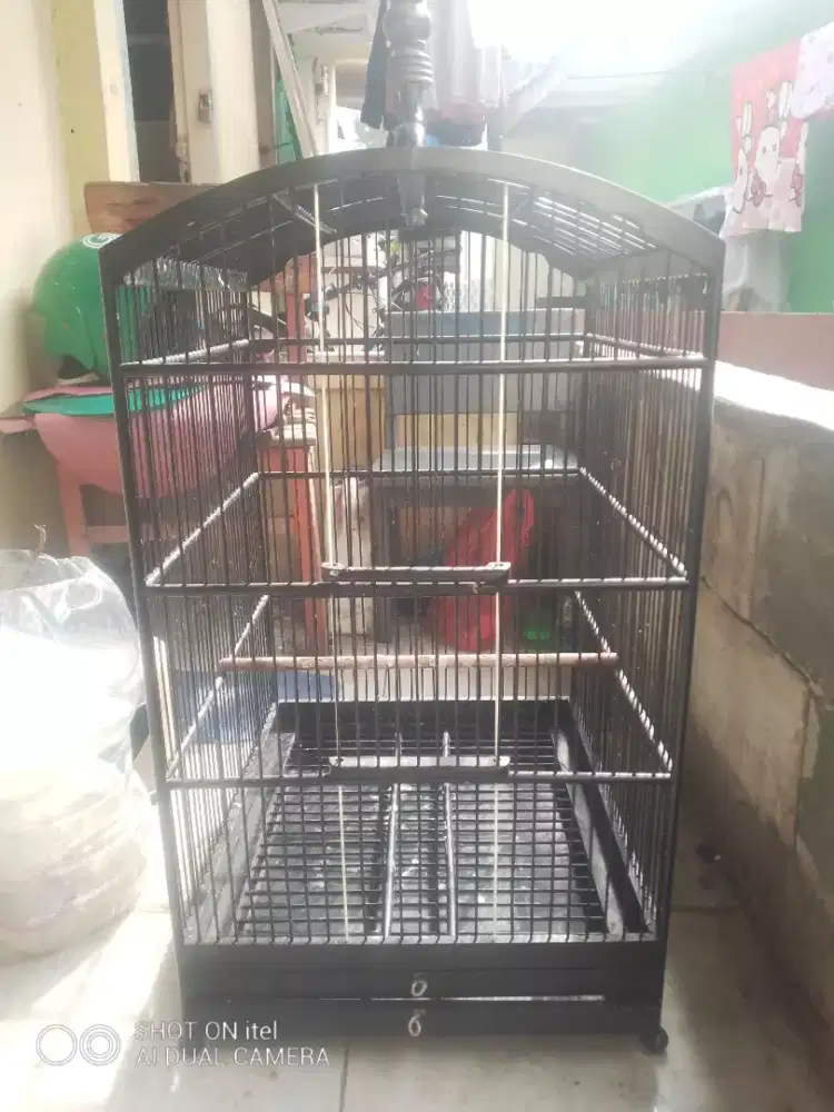 Kandang kotak no 1 minus kotor aja di BSD