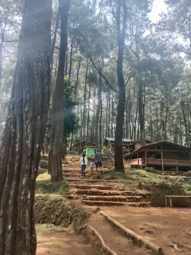 Lowongan Pengemudi / driver / supir