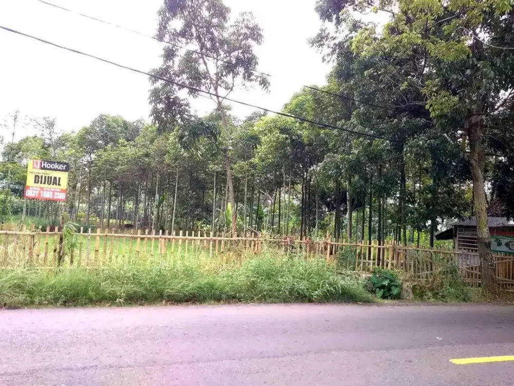 Dijual Tanah di Soreang, Luas Strategis Dekat Stadion Jalak Harupat