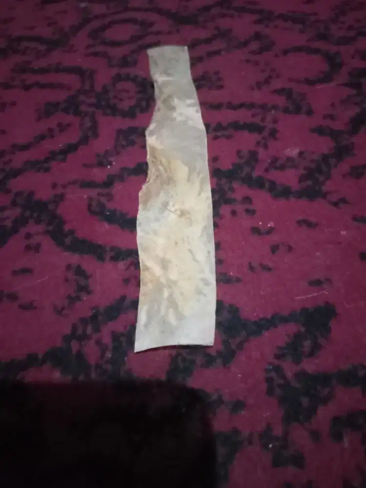 di jual kulit atau lulang