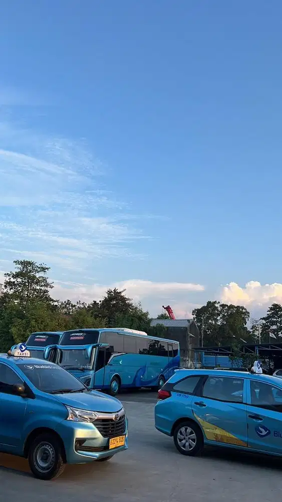 DRIVER BLUEBIRD GROUP