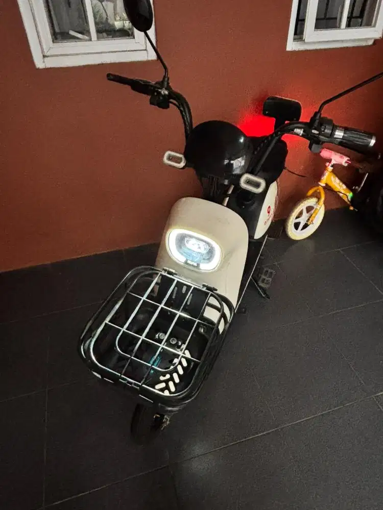 Sepeda Listrik Enine NE-1