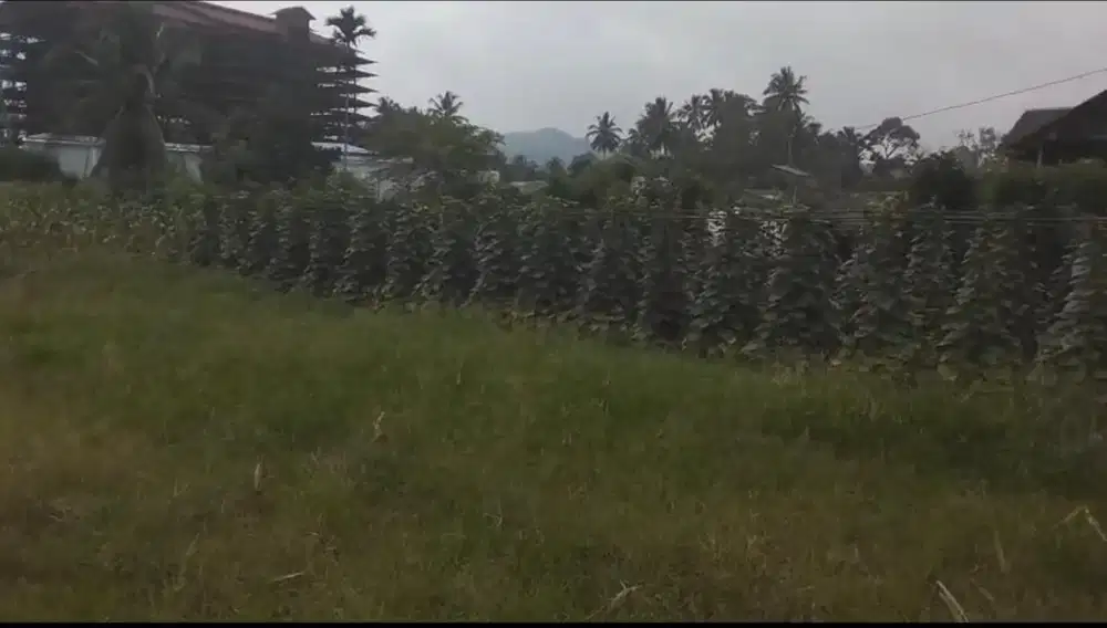 DIJUAL TANAH BELAKANG VIRGO, STRATEGIS, JALAN ASPAL, MILIK PRIBADI