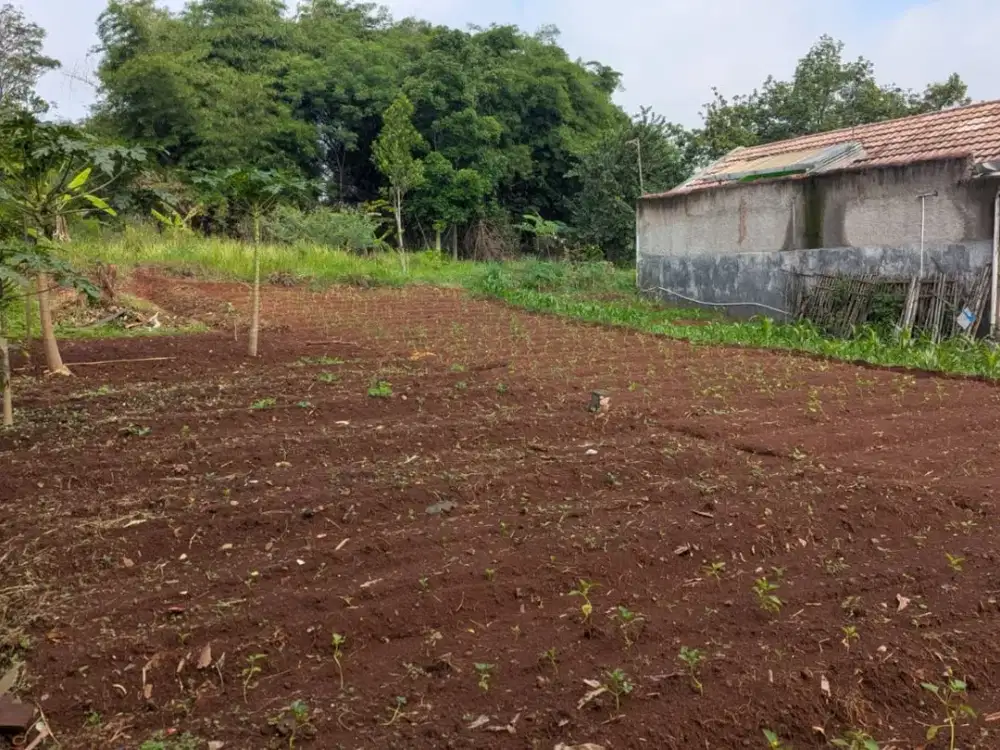 Tanah Potensial 700 m² Area Strategis Cipacing Jatinangor