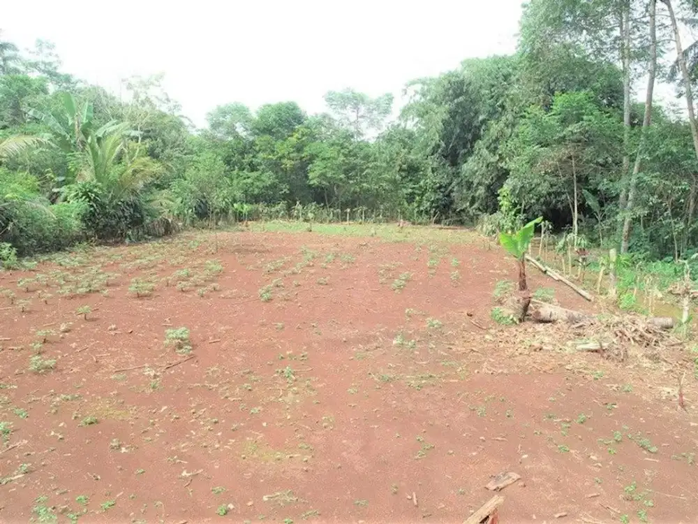 Dijual Kavling 1 Jt-an/m2, 5 Menit The Nice Park Rumpin