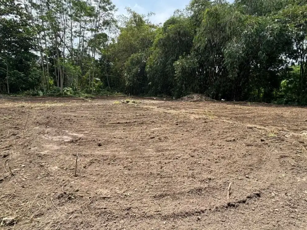 Tanah Mlati Sleman 10 Menit Jogja City Mall