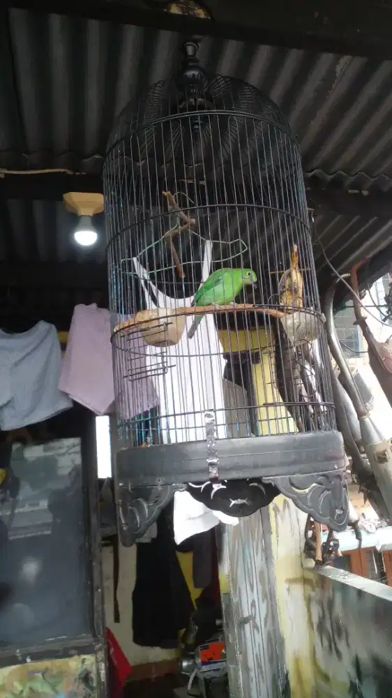 Jual sangkar lb masih layak pakai