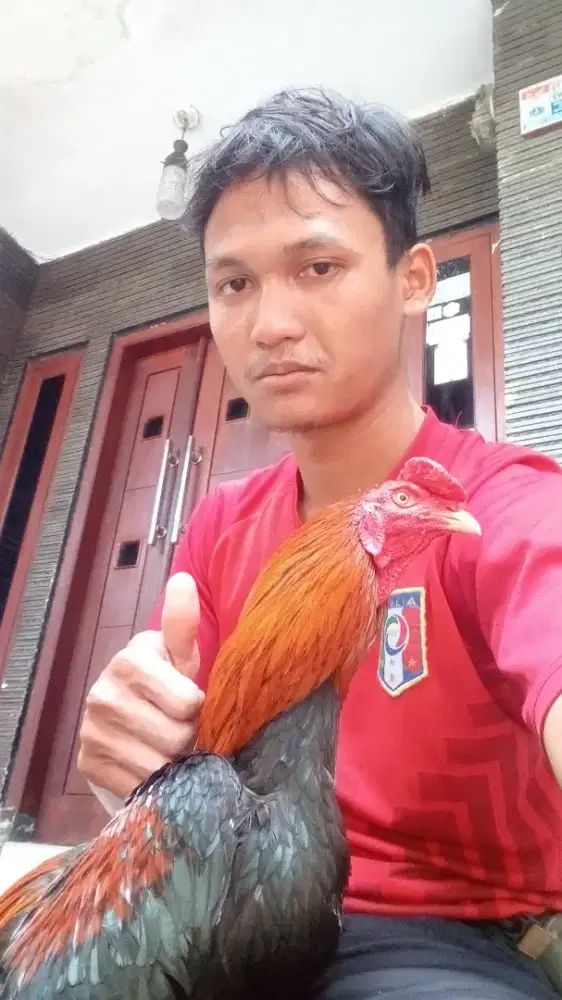 Lagi Cari pekerjaan