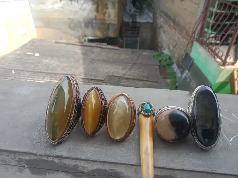 Jual borongan GG. Batu pandan. Kelor. Bulu macan