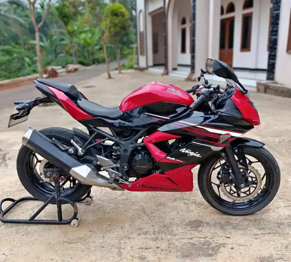 Kawasaki ninja 250R mono