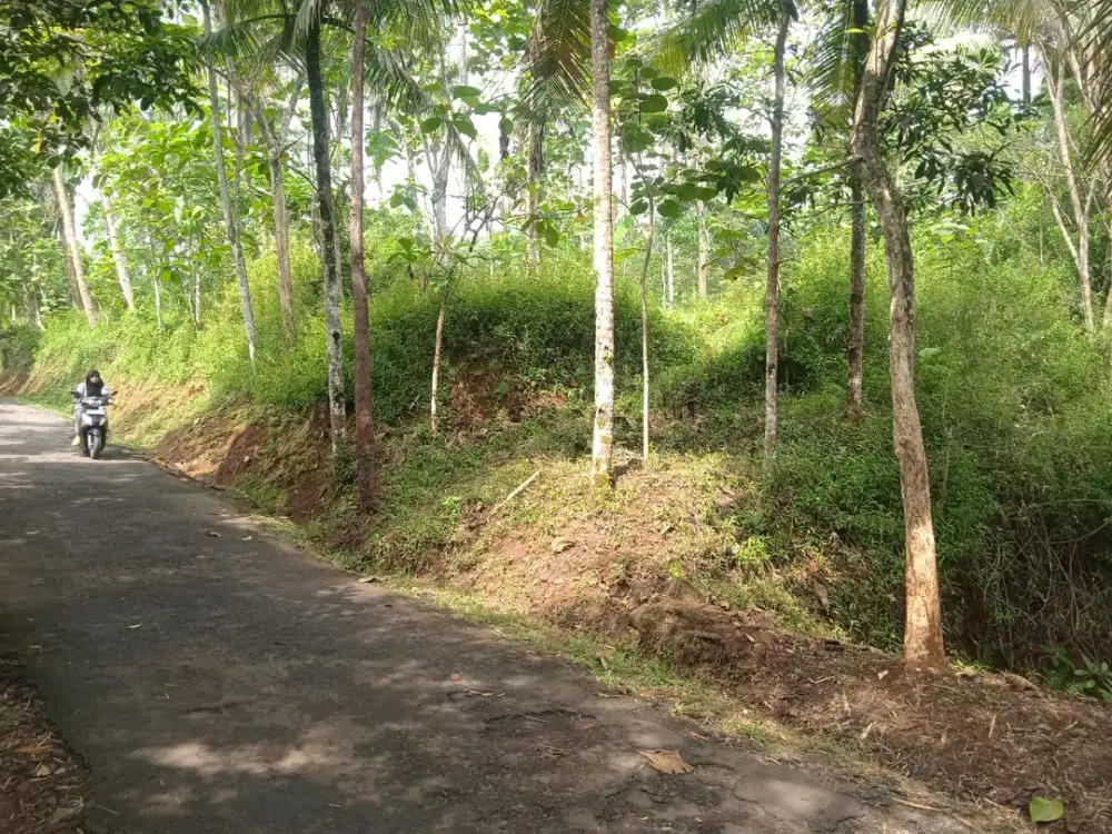 Dijual Tanah Ciamis, Cocok untuk Investasi & Pengembangan