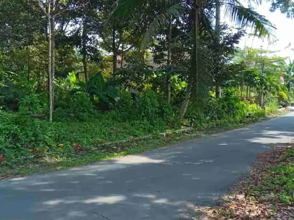 tanah sleman pakem jln palagan km 14