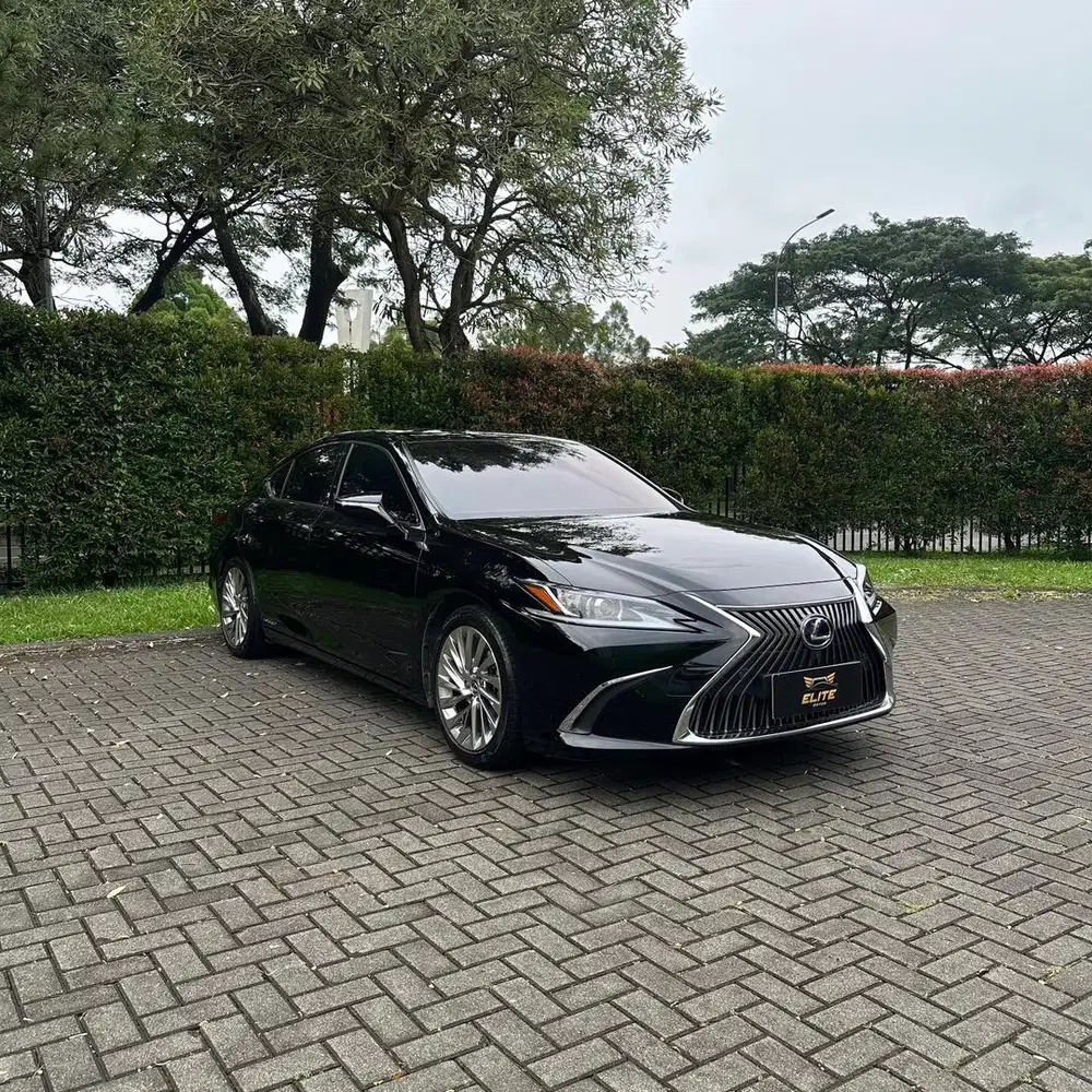 Lexus ES300h Ultra Luxury Sedan 2021