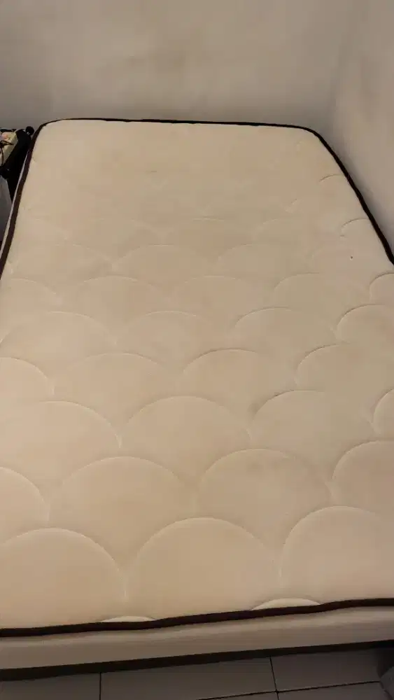 KASUR THE ERLNAD 100x120