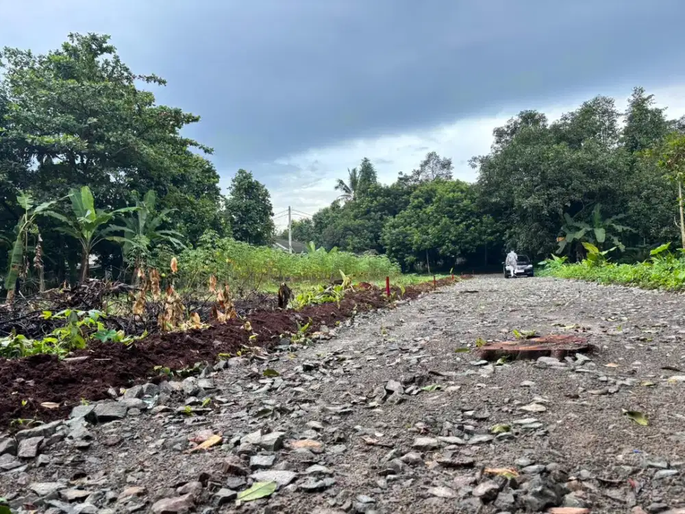 Jual Tanah Murah Bekasi Dekat Alun-alun Edu Forest