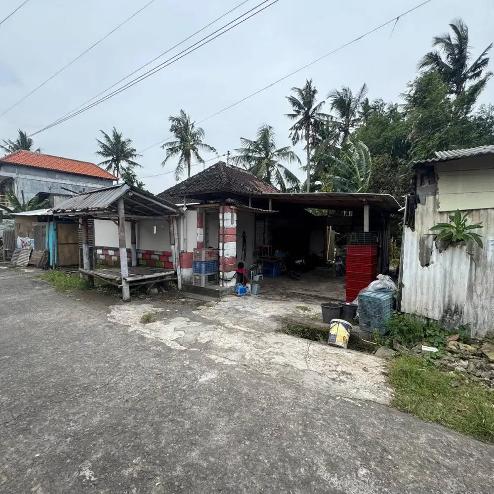 1,44 are. Dijual Tanah di Perum. Griya Swakarsa Mandiri Saba Gianyar