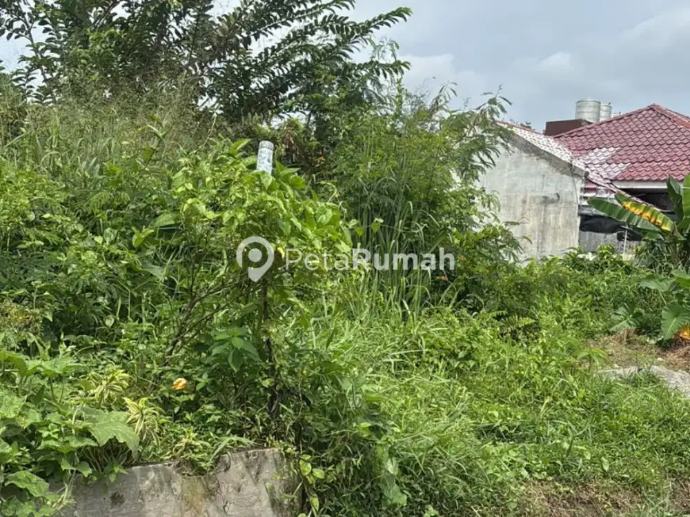 DIJUAL TANAH JALAN BUNGA PANCUR GANG TARIGAN (ANSHAR)