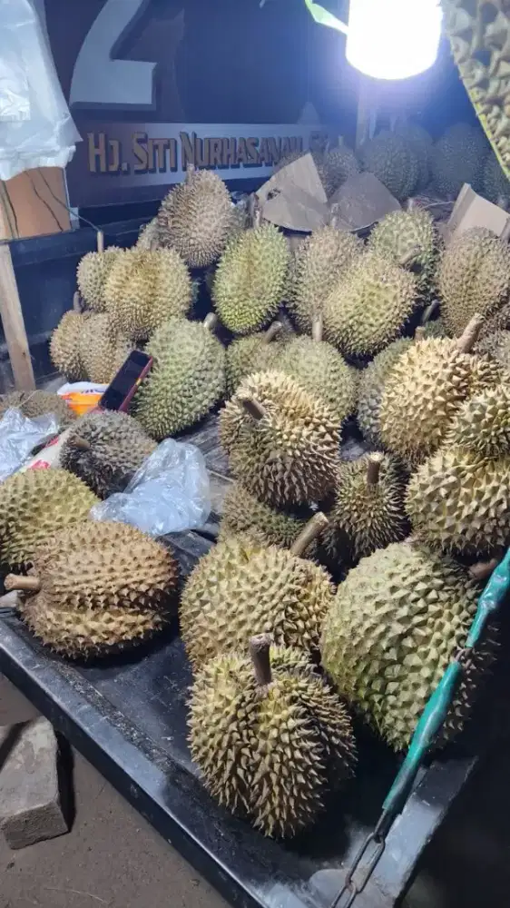 durian montong matang pohon