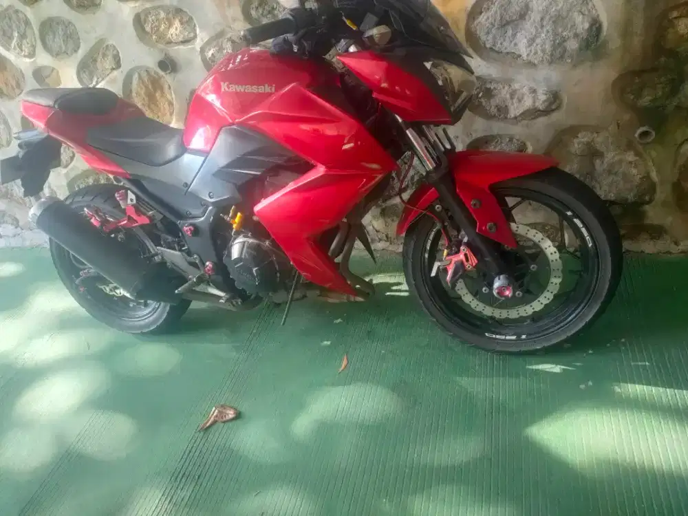 Kawasaki Z 250 Red