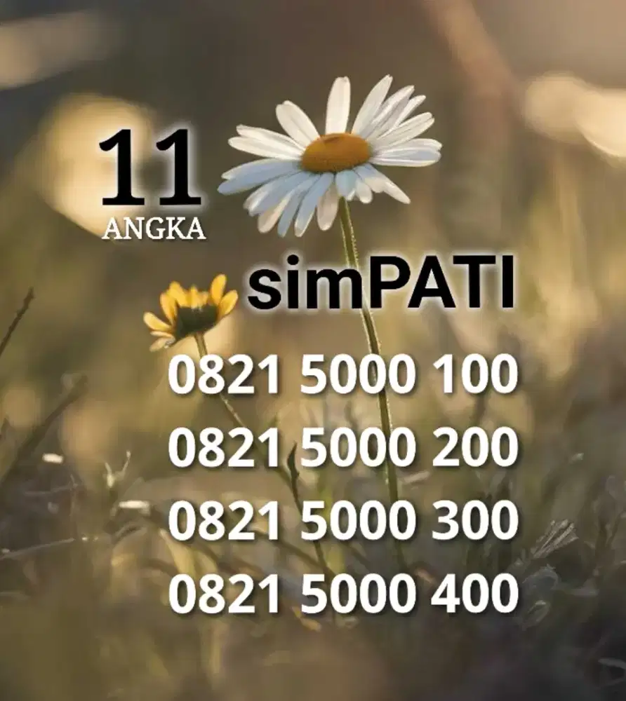 11 angka super nomor cantik