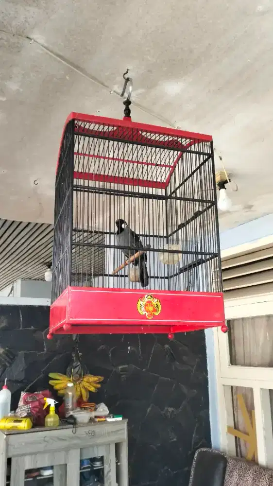 Poksay Hongkong gacor