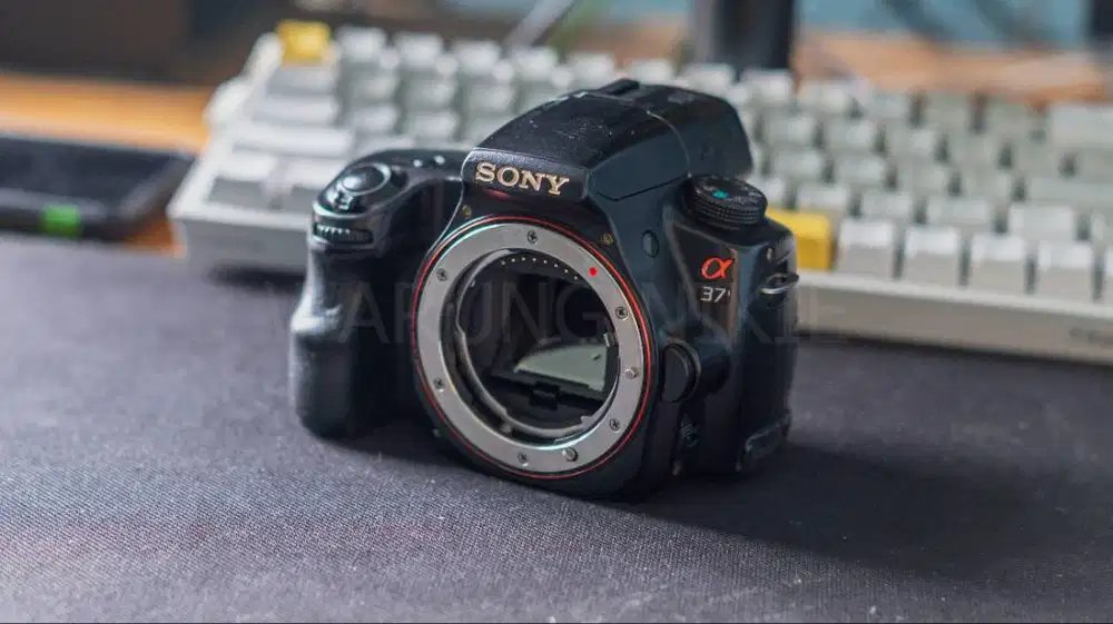 KAMERA SONY DSLT DSLR A37 NO VIGNET SENSOR BERSIH MINUS KAMERA ERROR