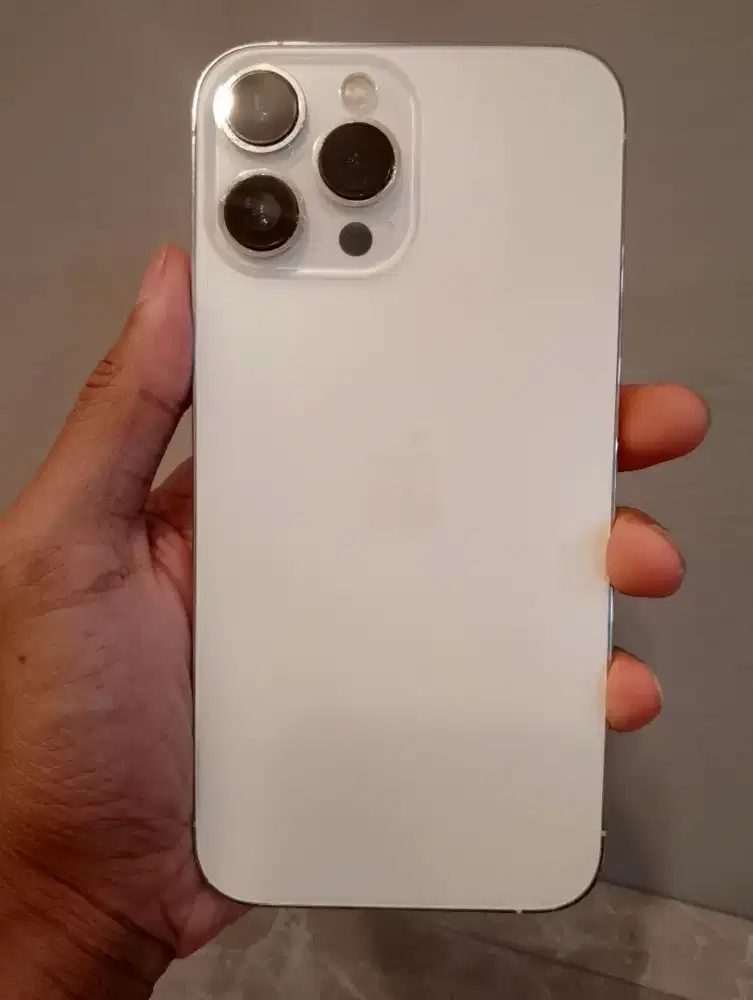 iPhone 13 promax 256gb