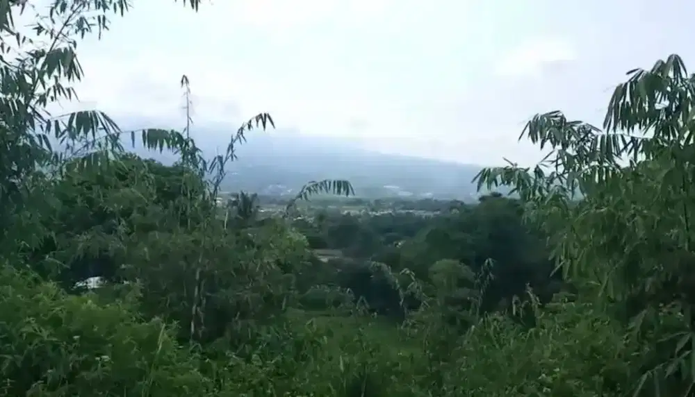 LOKASI MURAH BUAT VILLA SEJUK DI BOGOR CIJERUK