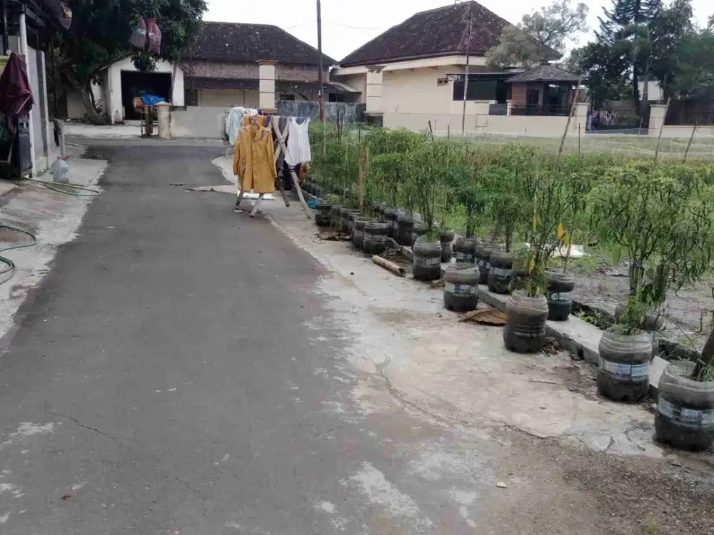 Pekarangan 250m² muka 11m, jln 4m , 1,2 km dari jalan lawu, jati jaten karanganyar