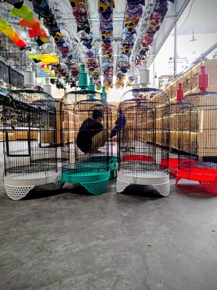 Sangkar lb Besic warna