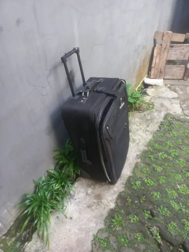 Koper Meadowood menegah 24inch