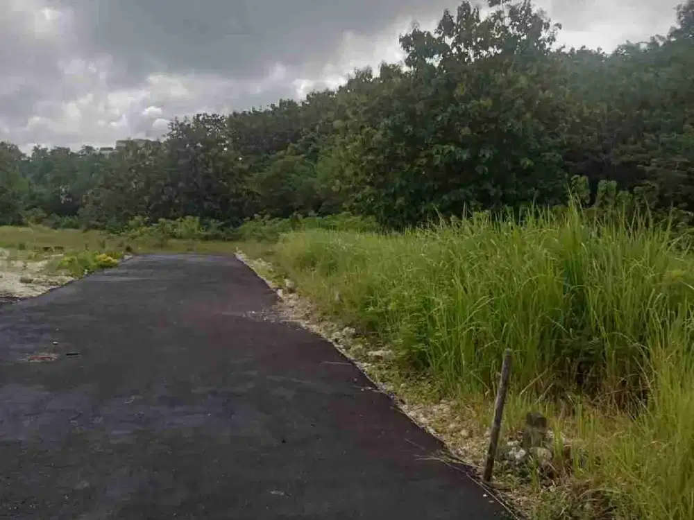 dijual tanah 15 are IDR 400 juta per are dekat poltekpar Bali STP nusa dua