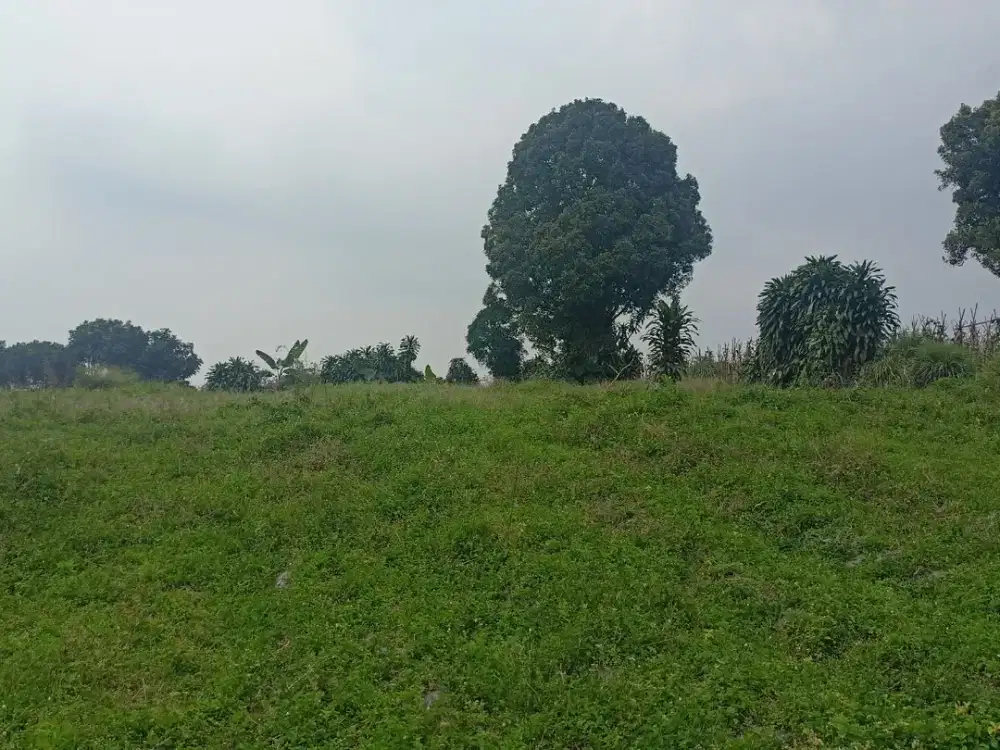 Kavling Cocok Untuk Villa Lokasi Strategis View Gunung Salak Free SHM