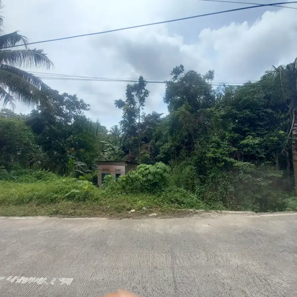 DI JUAL TANAH PINGGIR JALAN DEPAN PONDOK AL HANIF CIKERAI