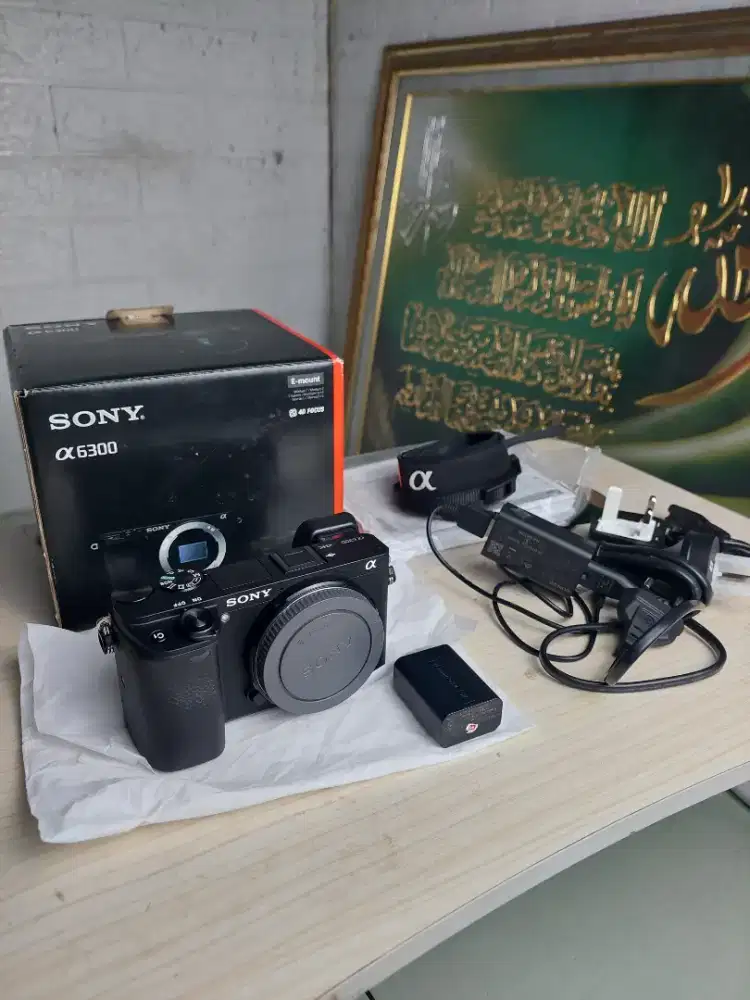 Sony a6300 BO terawat