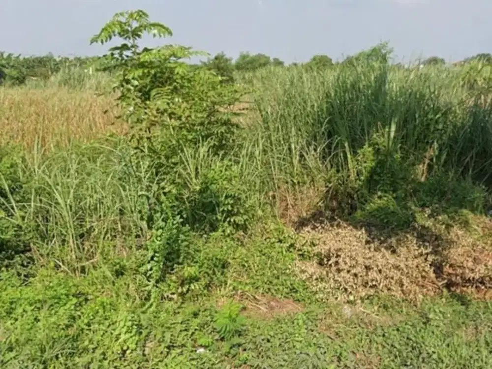 Dijual Tanah kavling Lingkar Timur Sidoarjo Strategis Siap Pakai