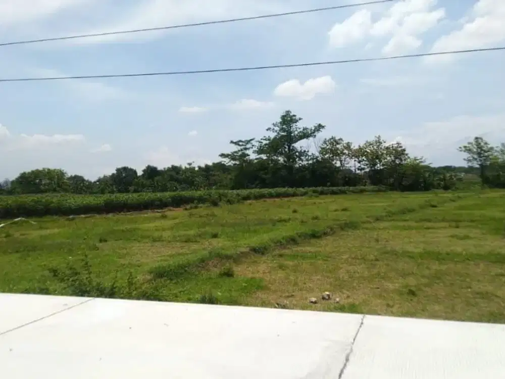 DIJUAL TANAH ZONA KUNING DI MOJOKERTO