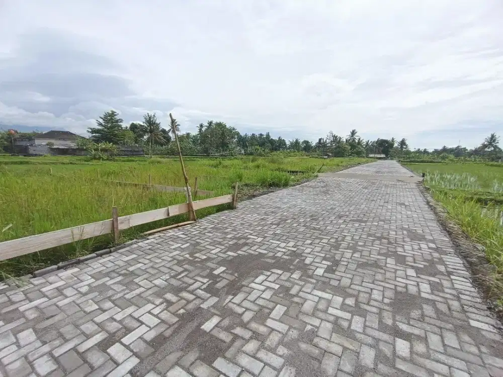 3 Jt-an/m Luas 126m, Barat Kampus UII Jogja : SHM P Siap Bangun