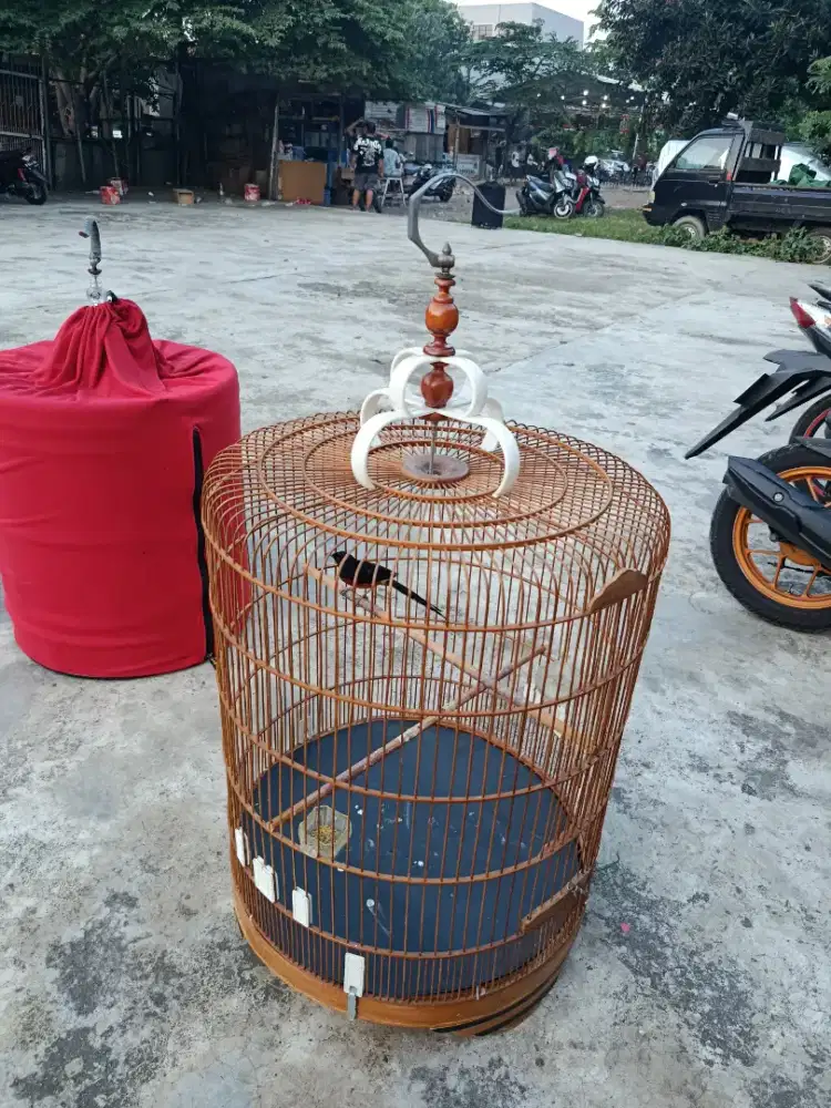 Kandang Murai No. 2 Fullset Krodong