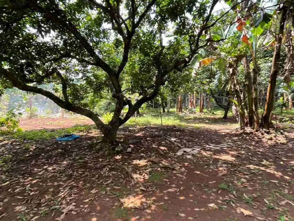 Dijual Tanah Cirendeu