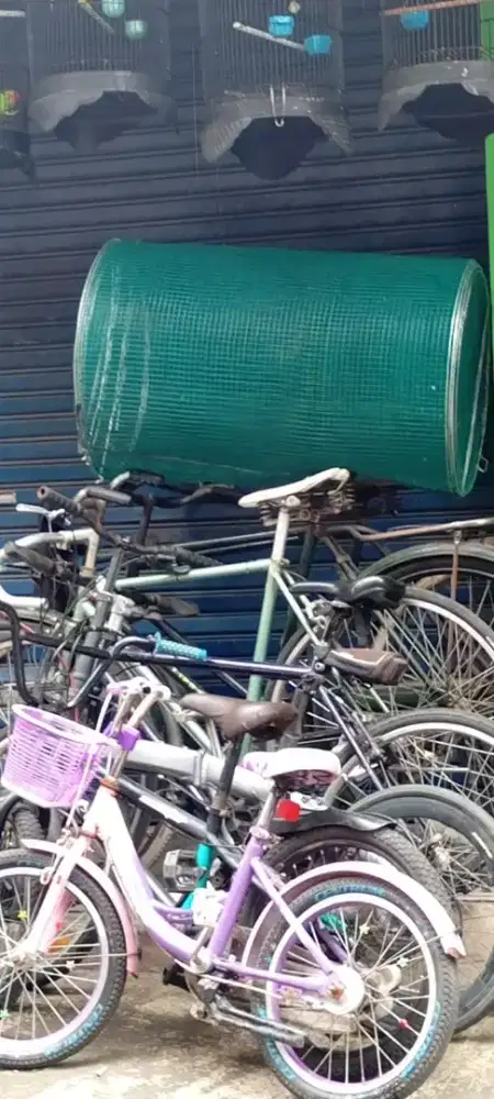 Umbaran Burung Besar