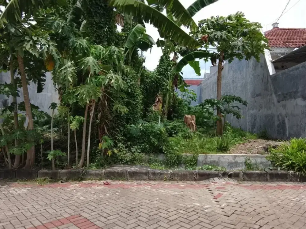 Kavling Mulyosari Prima