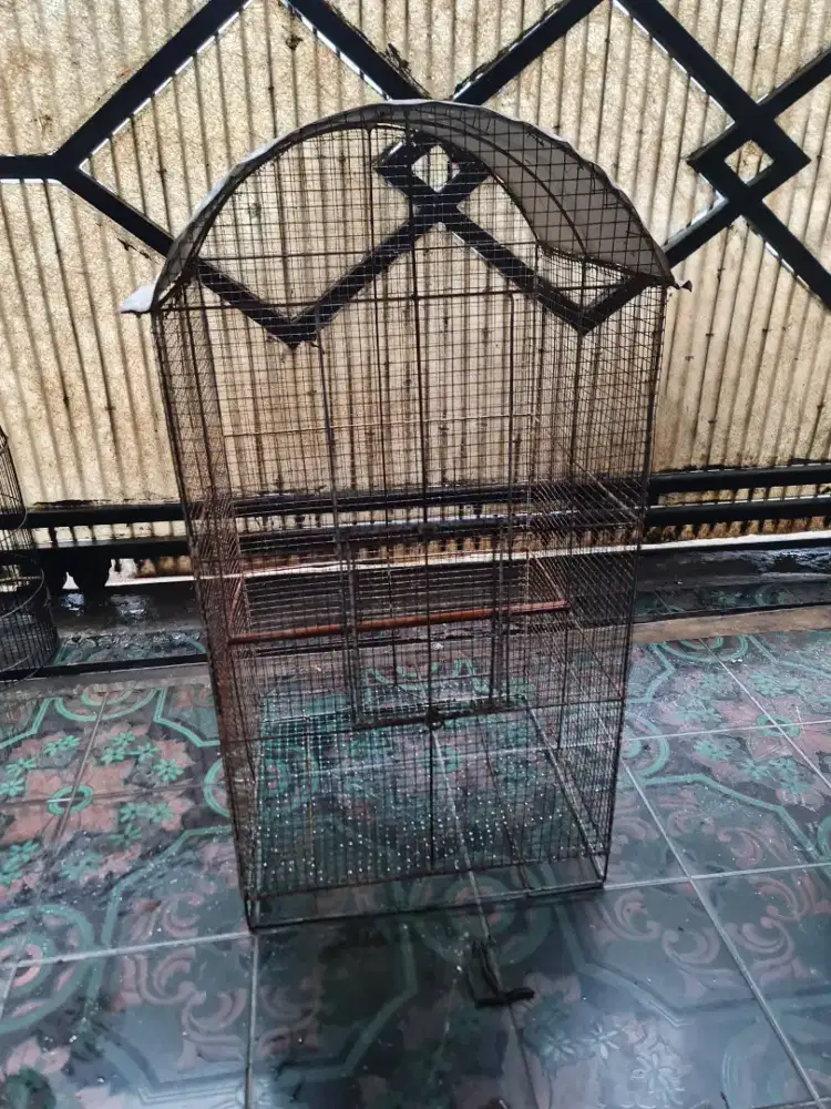 Kandang besi bisa aviari, ternak burung