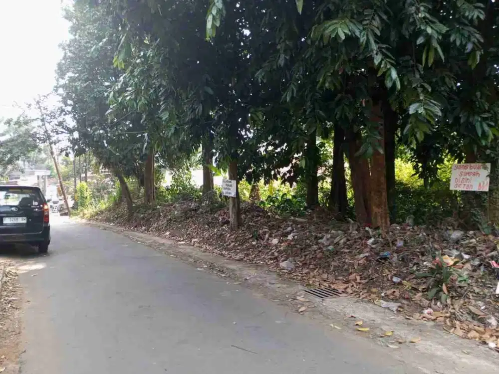 TANAH PINGGIR JALAN